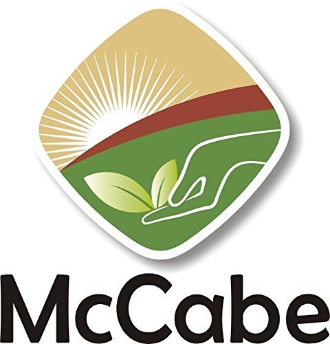 McCabe Organic Oat Flour White - Oat Flour Organic | Rich with Fiber & Minerals | USDA and CCOF Certified | Product of USA | 2Lbs | Pack of 2