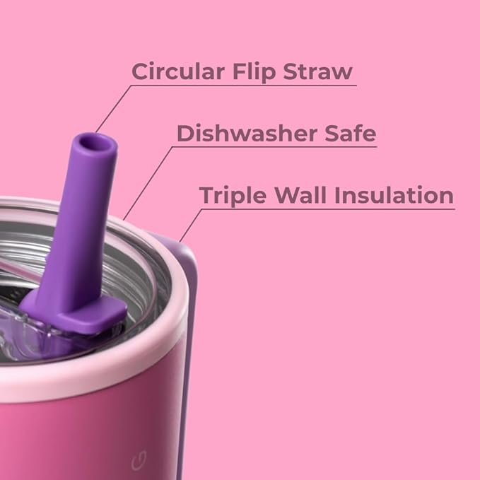 HydroJug Traveler - 32 oz Water Bottle with Handle & Flip Straw - Fits in Cup Holder, Leak Resistant Tumbler-Reusable Insulated Stainless Steel & Rubber Base - Gifts for Women & Men, Pink Sugar