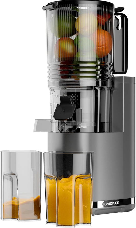 Cold Press Juicer, 6.5" Extra Large Feed Chute Juicer Machines, 350W Slow Masticating Juicer Machines with High Juice Yield for Whole Vegetables & Fruits, BPA Free, Titanium Gray, Easy to Clean